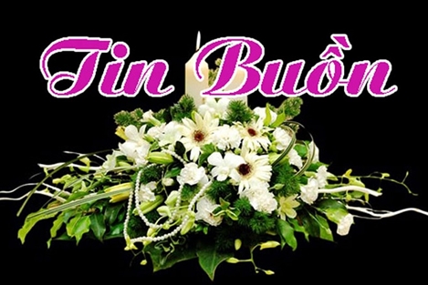 Tin buồn: Đồng chí Đại tá Nguyễn Thúy An từ trần