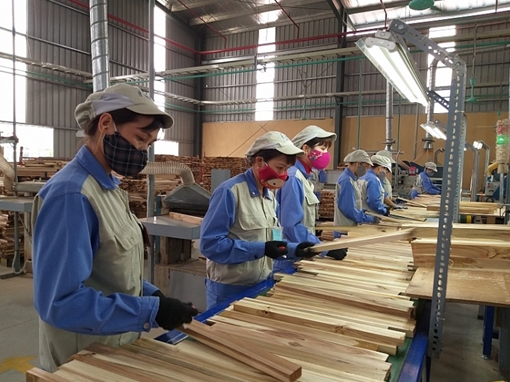 Nhiều mối lo khi FDI từ Trung Quốc vào ngành gỗ tăng vọt