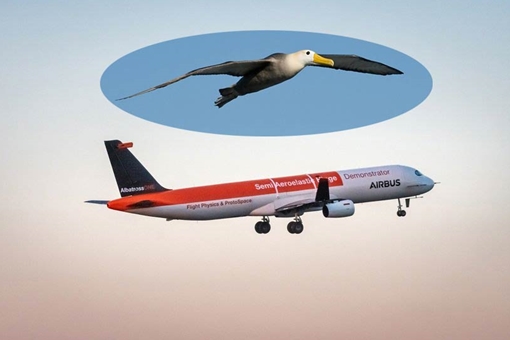 Trong tương lai, máy bay sẽ vỗ cánh như chim (?)