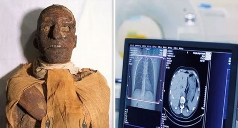 Phát hiện rùng rợn về cái chết của pharaoh Ai Cập