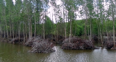 Phối hợp bảo vệ rừng phòng hộ đầu nguồn