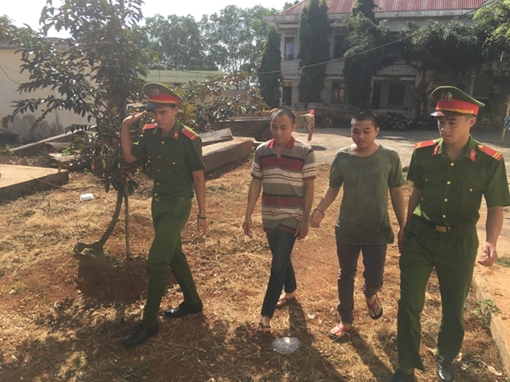 Đánh ô tô đi trộm hơn 2 tấn quả sầu riêng