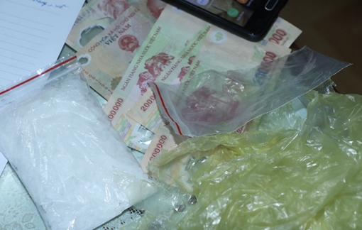 Cất giấu ma túy trên cối cây quanh nhà