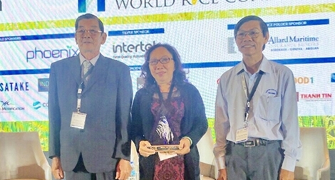 Gạo ST24 đạt danh hiệu “Gạo ngon nhất thế giới"