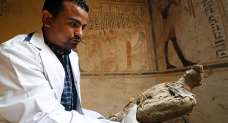 Hé lộ bí ẩn hàng triệu xác ướp chim trong lăng mộ Ai Cập