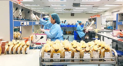 Làm rõ trách nhiệm, xử lí nghiêm minh vụ gian lận xét nghiệm