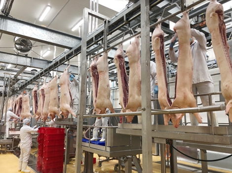 Giá thịt lợn đã ở mức cao kỷ lục trong 10 năm qua