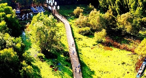 Lễ đón nhận kỷ lục Rừng Tràm Trà Sư đẹp và nổi tiếng