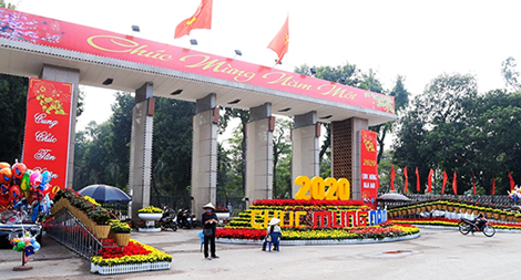 Hà Nội chi 19 tỷ đồng trang trí hoa, cây cảnh phục vụ Tết Nguyên đán