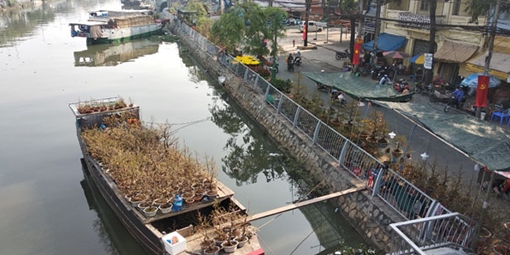 Đìu hiu chợ hoa Tết Bến Bình Đông