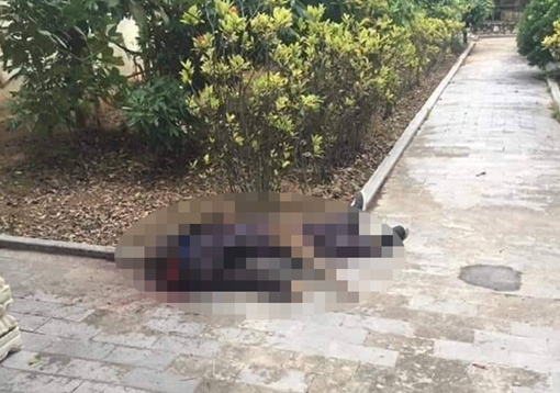 Đang dọn dẹp nghĩa trang, cụ ông 73 tuổi bị chém tử vong