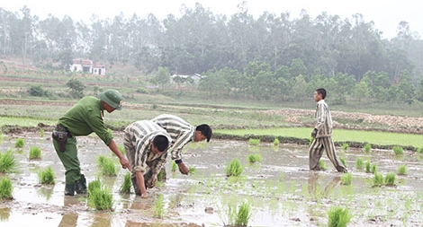 Miệt mài gieo mầm thiện