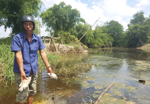 Thiếu hệ thống xử lý nước thải, nhà máy xả thẳng ra môi trường