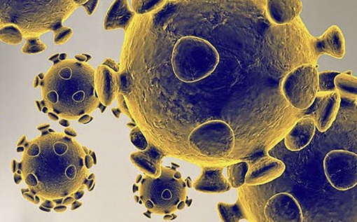 WHO kêu gọi các nước tham khảo cách phòng, chống COVID-19