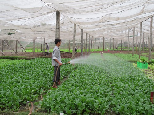 Hà Nội đứng đầu bảng xếp hạng bảo đảm an toàn thực phẩm nông, lâm, thủy sản