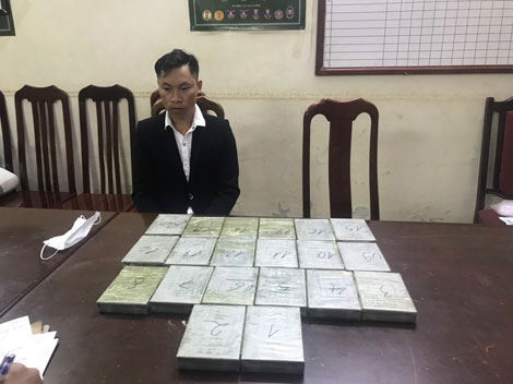 Truy tìm “vị khách” có đôi tai đặc biệt