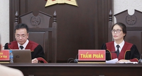 Hoãn phiên toà phúc thẩm xét xử mẹ nữ sinh ship gà ở Điện Biên