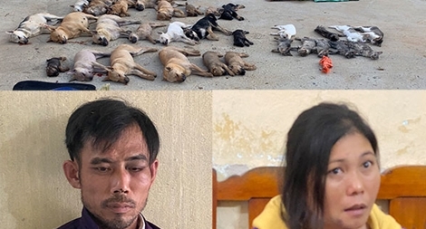 Cặp tình nhân dùng chất kịch độc đánh bả chó, mèo bán cho quán nhậu