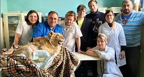 Tổng thống Nga yêu cầu điều tra vụ ngược đãi sư tử