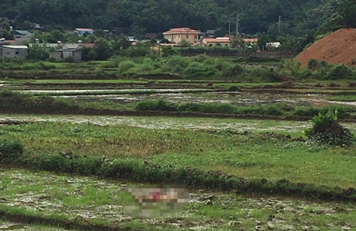 3 người thiệt mạng do mâu thuẫn nợ nần