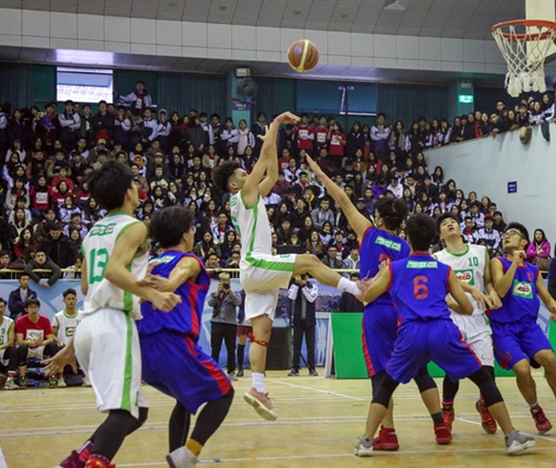 Liên đoàn, hiệp hội thể thao: Không để “lập ra cho có”