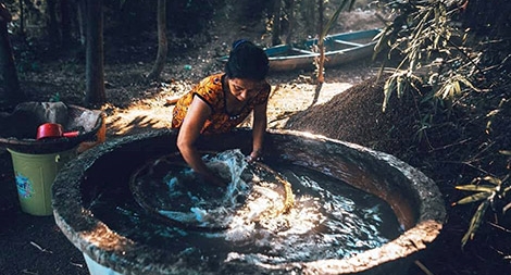 Mùa hến về bên bến sông quê