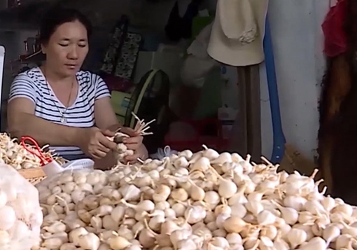 Tỏi Lý Sơn được cấp chứng nhận Chỉ dẫn địa lý