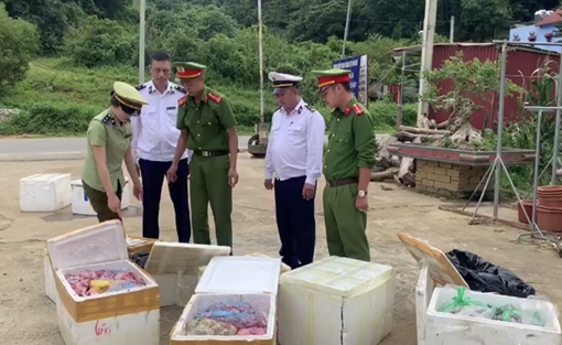 Thu giữ nửa tấn nội tạng động vật không rõ nguồn gốc