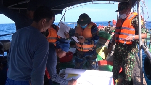 Phát hiện nhiều tàu cá vi phạm trên biển