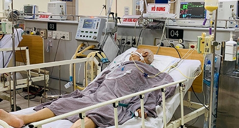 Kinh hoàng vụ Pate Minh Chay nhiễm độc tố thần kinh cực nặng