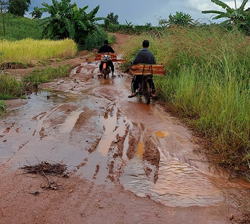 37 gốc cây gần chốt bảo vệ rừng Mang Yang bị "xẻ thịt"