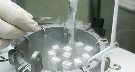 Vợ chồng hiếm muộn gian nan tìm con: Nơi gieo mầm sự sống