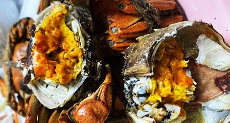 Gió Bắc về lại nhớ vị cua da...