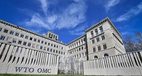 WTO kêu gọi các nước thúc đẩy cải cách ứng phó với những thách thức toàn cầu mới