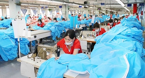 Thúc đẩy xuất khẩu, thiết lập chuỗi cung ứng ngành dệt may