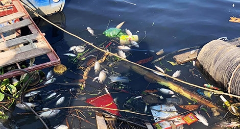 Còn ai tắm được trên dòng sông quê