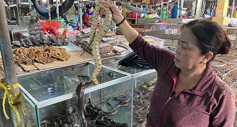 Cuộc chiến chống săn bắt, buôn bán động vật hoang dã: Bẫy, bán và đủ chiêu lách luật