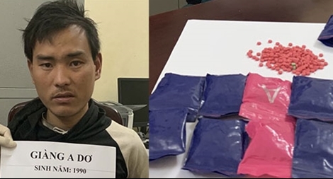 Ném gần 2.000 viên ma túy vào rừng để phi tang 