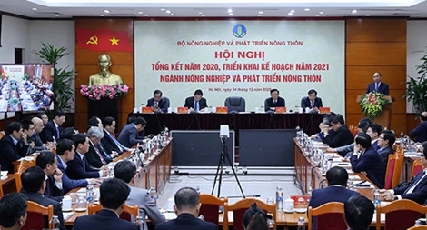 Nông nghiệp là trụ đỡ cho nền kinh tế năm 2020