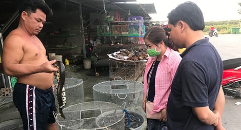 Cuộc chiến chống săn bắt, buôn bán động vật hoang dã: Đi chợ "địa ngục"