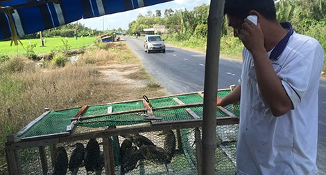 Chống săn bắt, buôn bán động vật hoang dã: Trên "nóng”, dưới than… khó đủ thứ