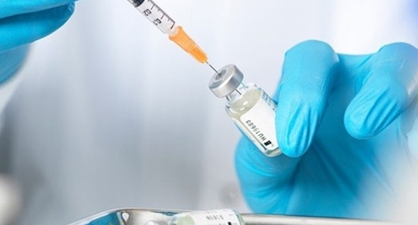 Việt Nam sắp nghiên cứu thành công vaccine dịch tả lợn châu Phi