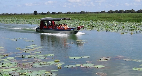 Khám phá Khu dự trữ sinh quyển thế giới Vườn quốc gia Tràm Chim
