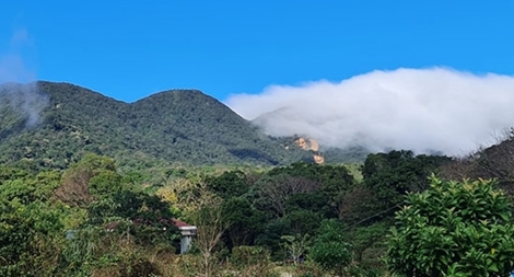 Xuân về bên chân đèo Sa Mù