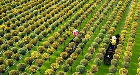 Hai mục tiêu 100 năm khát vọng hòa bình, ổn định, phồn vinh