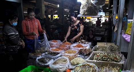 Kiểm tra, xử lý vi phạm về an toàn thực phẩm dịp Tết Tân Sửu