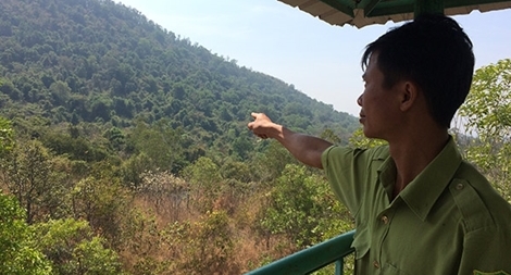 Những người nặng tình với rừng núi Cậu