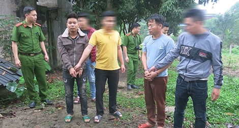 Rủ nhau bắt trộm 5 con trâu 