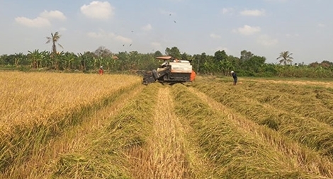 Bình Dương sẽ có... “Làng thông minh”