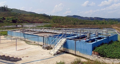 Xử lý dứt điểm ô nhiễm môi trường do trang trại heo